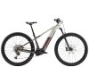 Trek Powerfly+ 6 EU L 29 Lunar Silver/Mercury